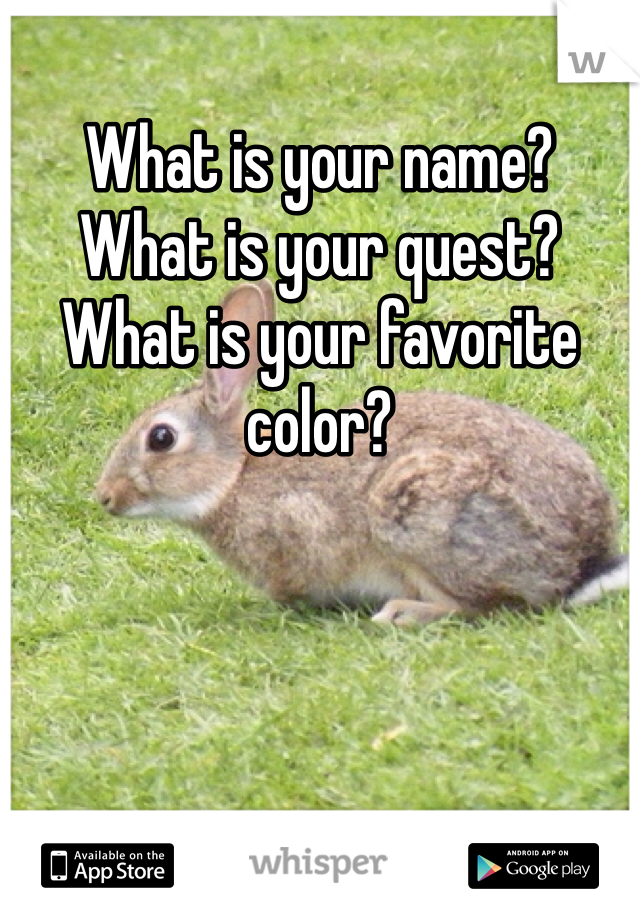 What is your name? 
What is your quest?
What is your favorite color?