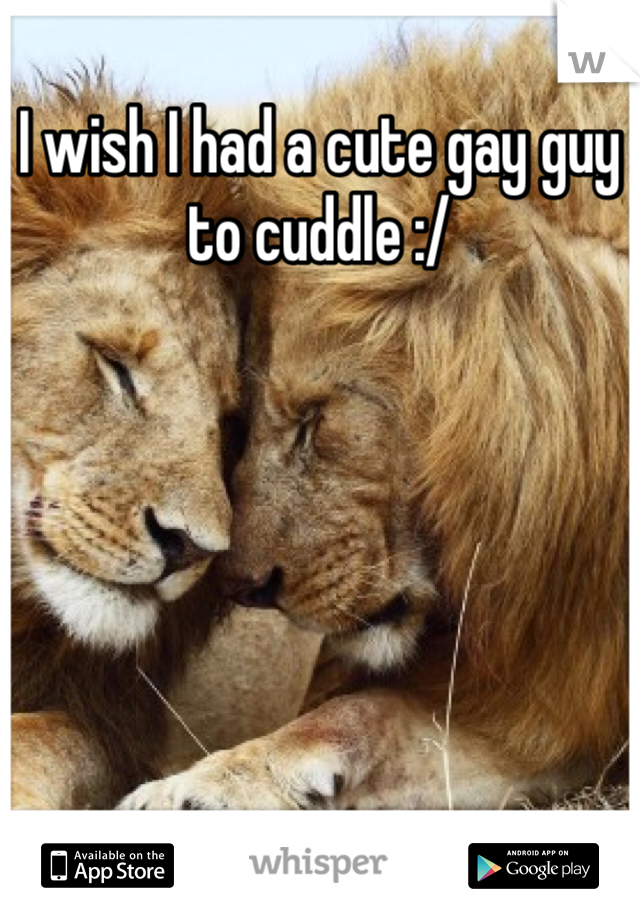 I wish I had a cute gay guy to cuddle :/ 

