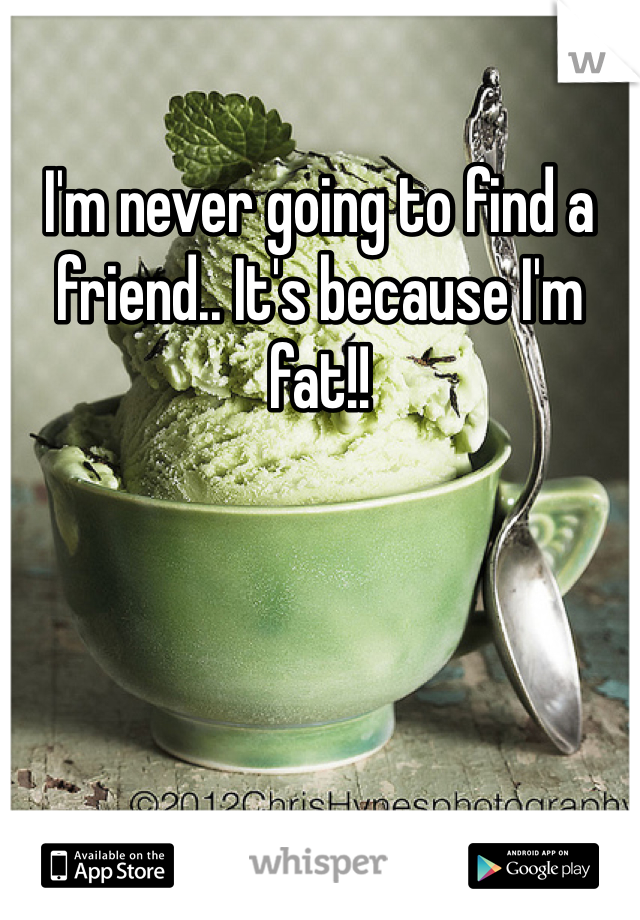 I'm never going to find a friend.. It's because I'm fat!!