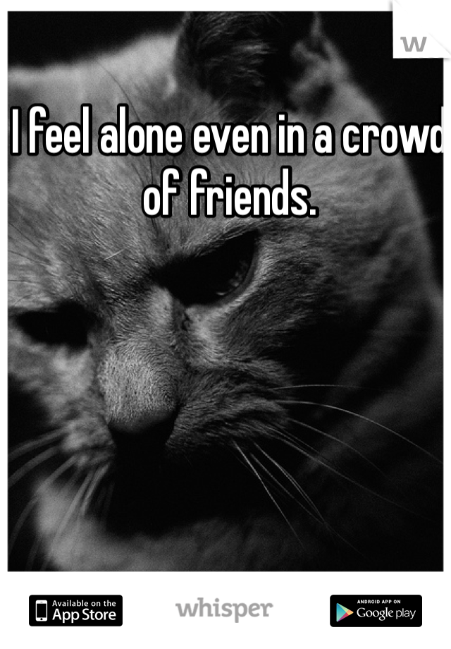 I feel alone even in a crowd of friends. 