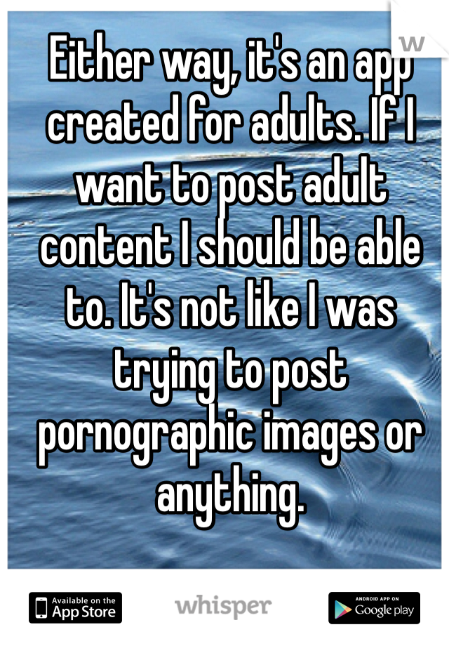 Either way, it's an app created for adults. If I want to post adult content I should be able to. It's not like I was trying to post pornographic images or anything. 