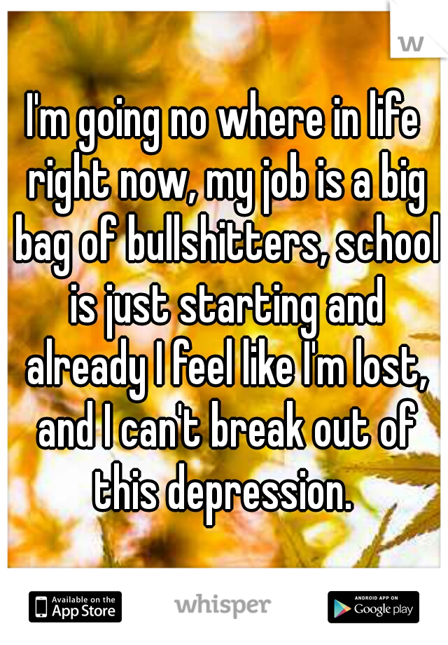 I'm going no where in life right now, my job is a big bag of bullshitters, school is just starting and already I feel like I'm lost, and I can't break out of this depression. 
