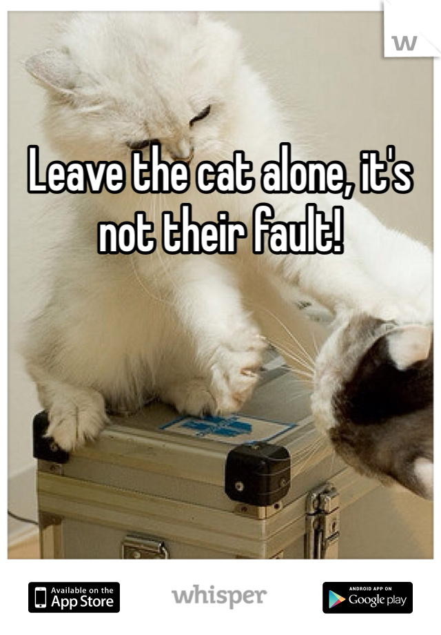 Leave the cat alone, it's not their fault!