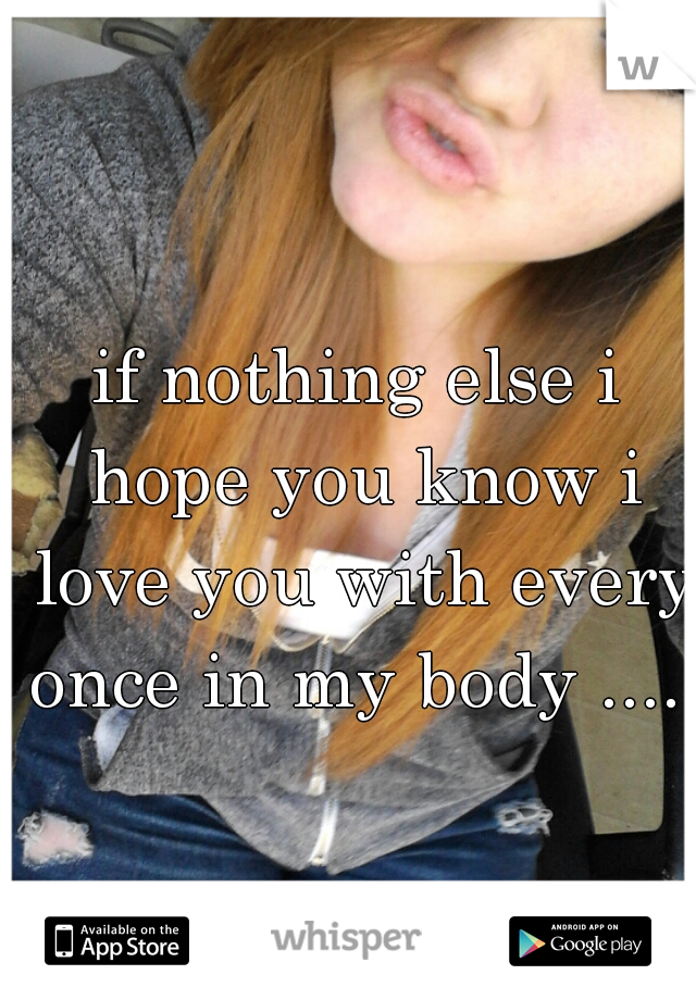 if nothing else i hope you know i love you with every once in my body ......