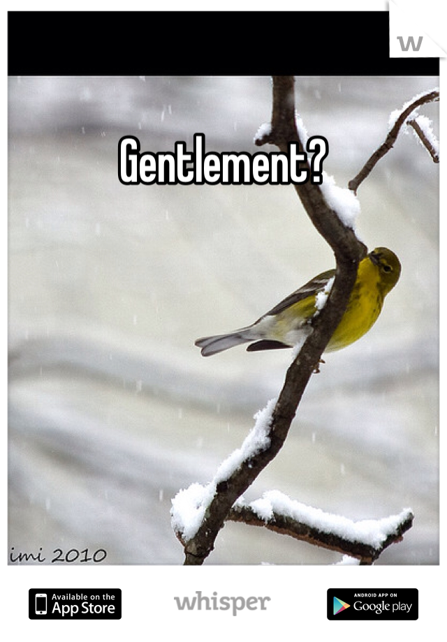 Gentlement?