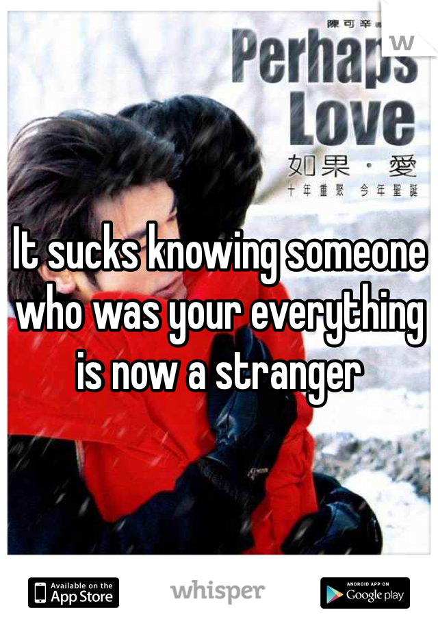 It sucks knowing someone who was your everything is now a stranger 