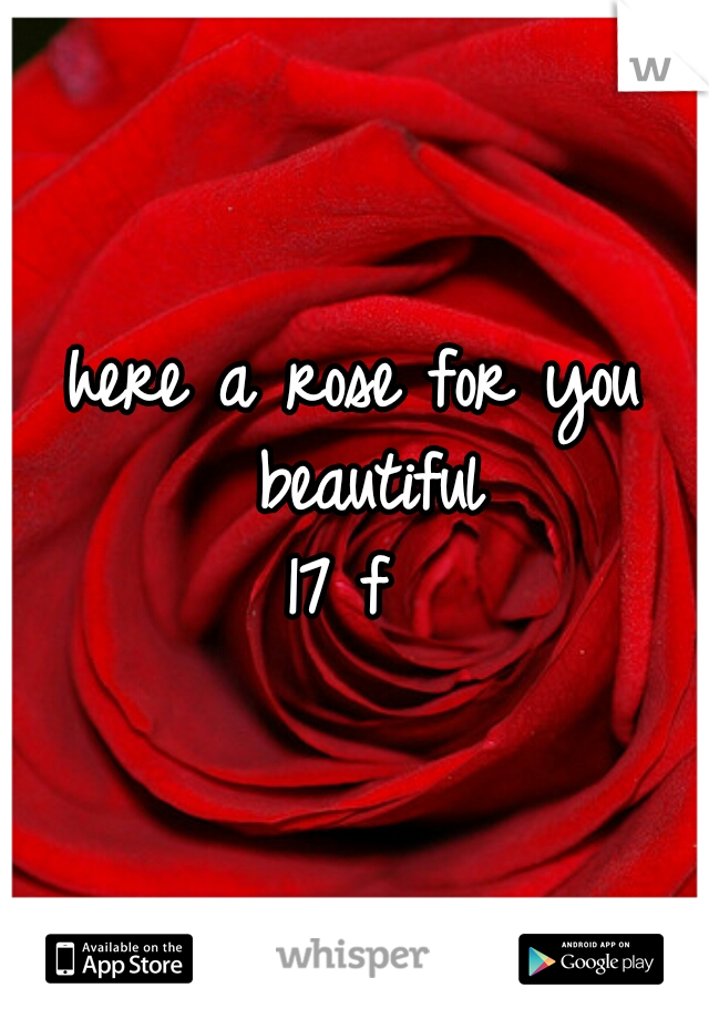 here a rose for you beautiful
17 f 