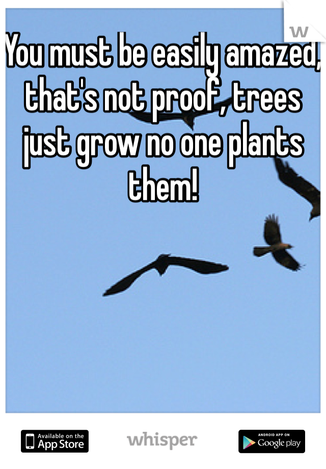 You must be easily amazed, that's not proof, trees just grow no one plants them!