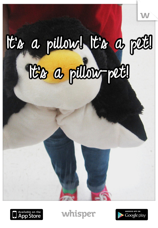 It's a pillow! It's a pet! It's a pillow-pet!