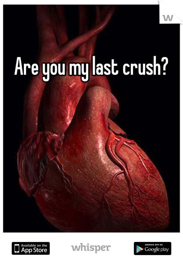 Are you my last crush? 