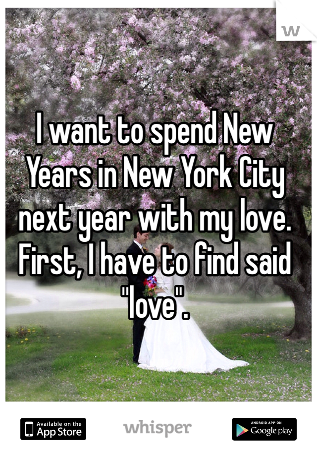 I want to spend New Years in New York City next year with my love. First, I have to find said "love".