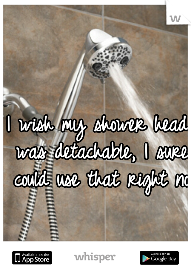 I wish my shower head was detachable, I sure could use that right now