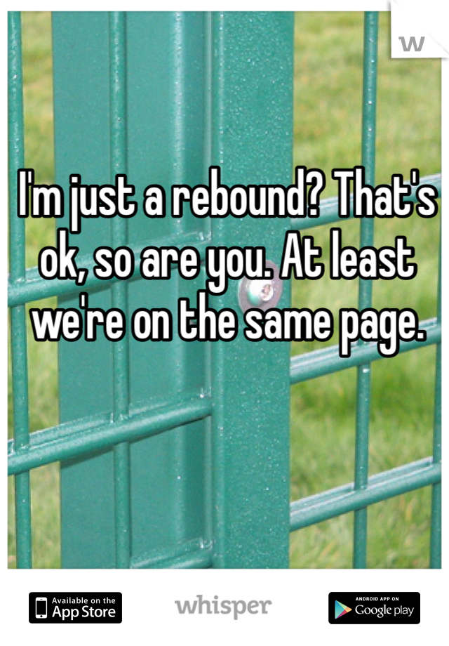 I'm just a rebound? That's ok, so are you. At least we're on the same page. 