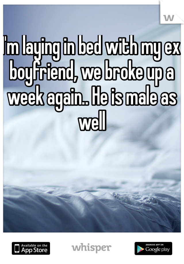 I'm laying in bed with my ex boyfriend, we broke up a week again.. He is male as well