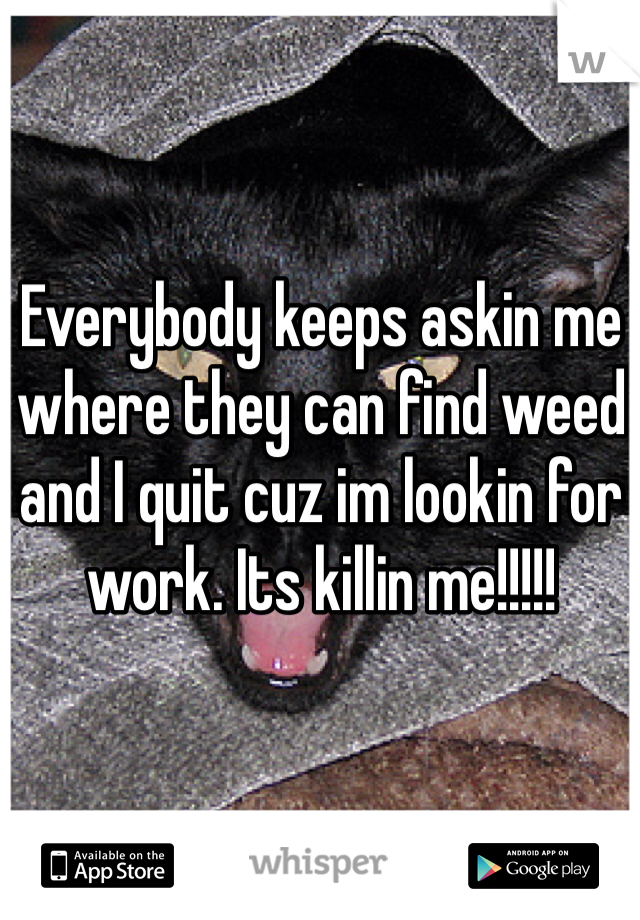 Everybody keeps askin me where they can find weed and I quit cuz im lookin for work. Its killin me!!!!!
