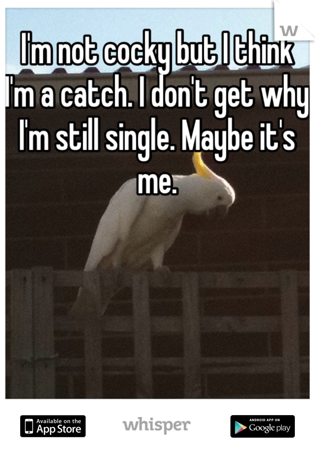 I'm not cocky but I think I'm a catch. I don't get why I'm still single. Maybe it's me. 