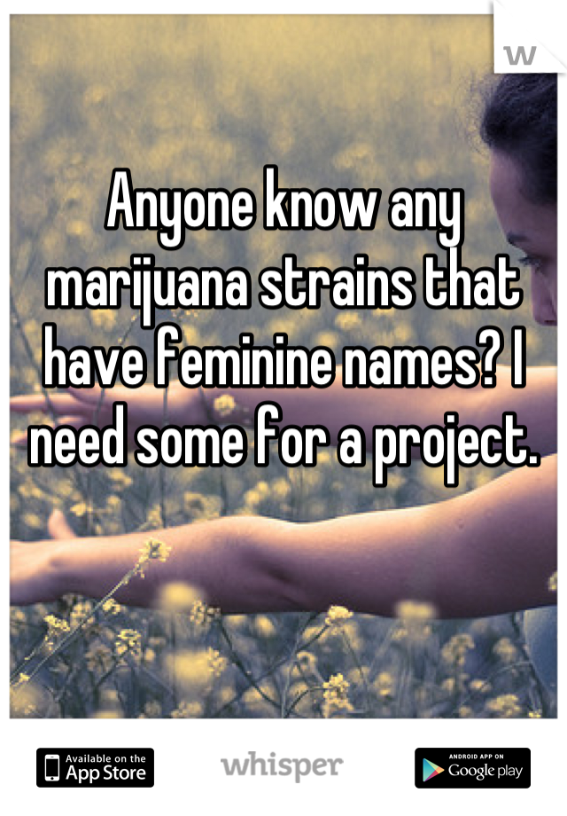 Anyone know any marijuana strains that have feminine names? I need some for a project.