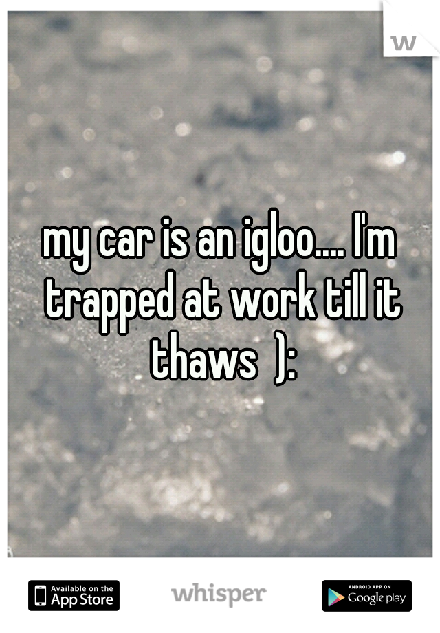 my car is an igloo.... I'm trapped at work till it thaws  ):