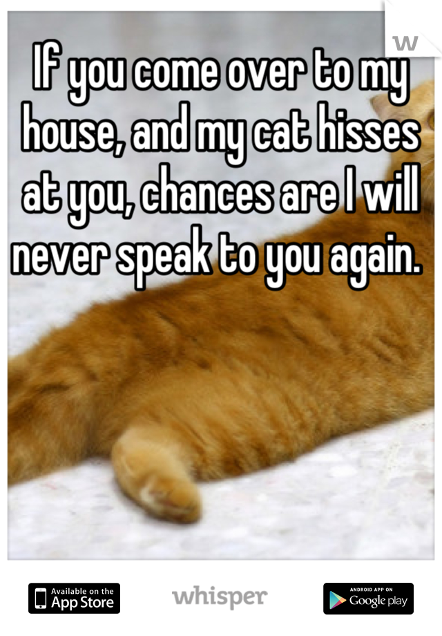 If you come over to my house, and my cat hisses at you, chances are I will never speak to you again. 