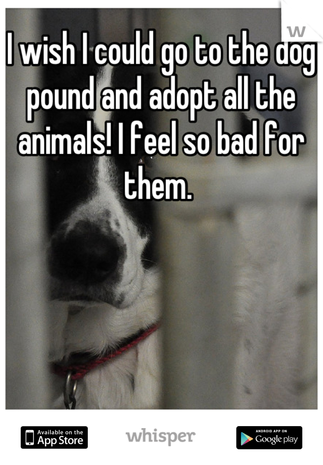 I wish I could go to the dog pound and adopt all the animals! I feel so bad for them. 