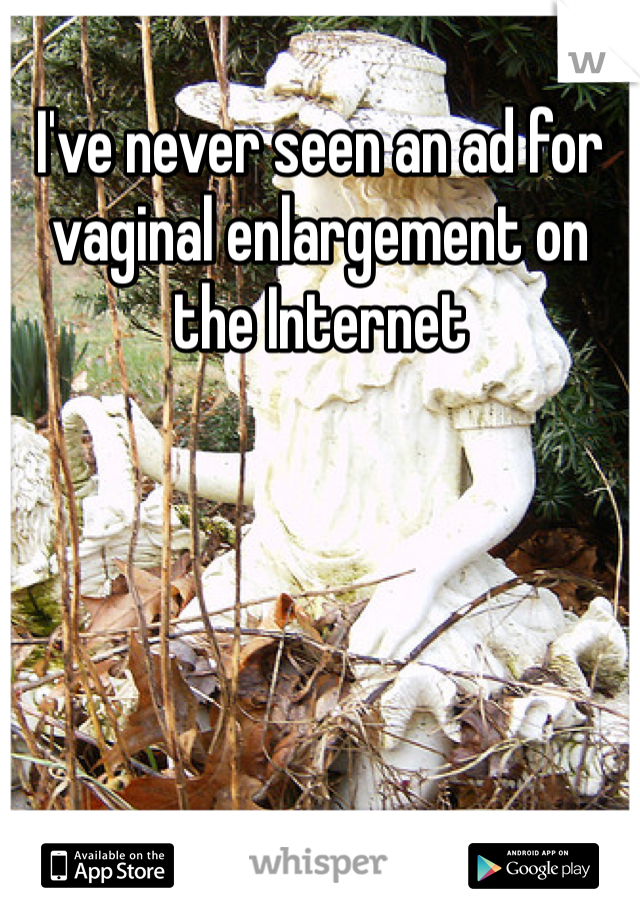 I've never seen an ad for vaginal enlargement on the Internet 