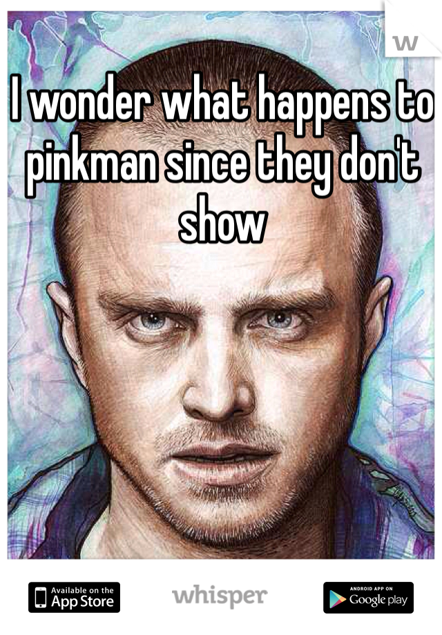 I wonder what happens to pinkman since they don't show 