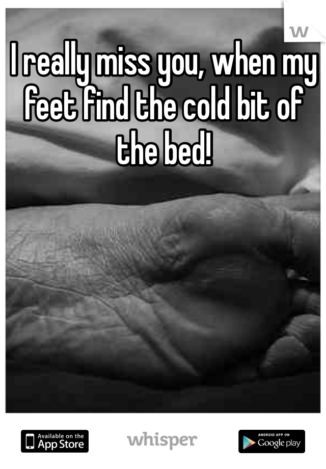 I really miss you, when my feet find the cold bit of the bed! 