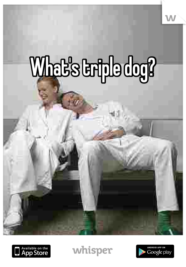 What's triple dog?