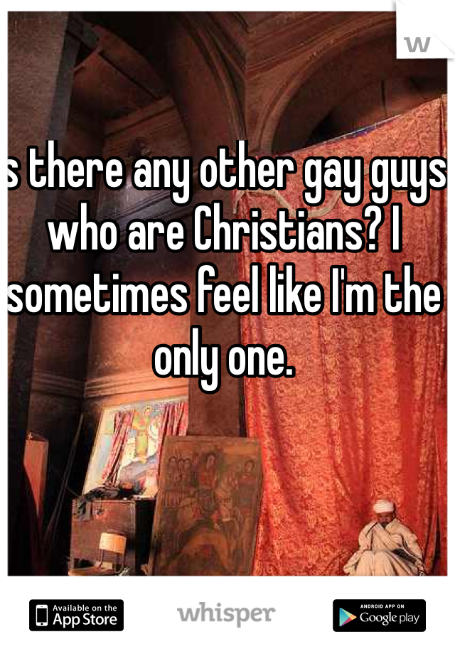 Is there any other gay guys who are Christians? I sometimes feel like I'm the only one. 