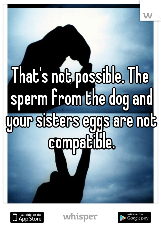 That's not possible. The sperm from the dog and your sisters eggs are not compatible.