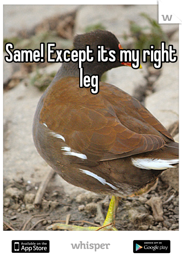 Same! Except its my right leg 