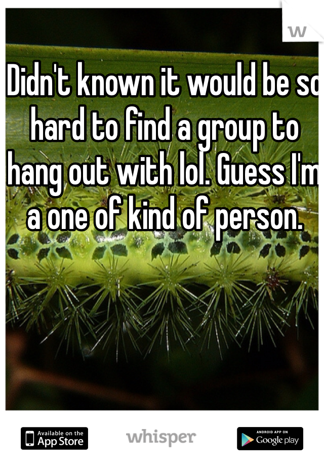 Didn't known it would be so hard to find a group to hang out with lol. Guess I'm a one of kind of person. 