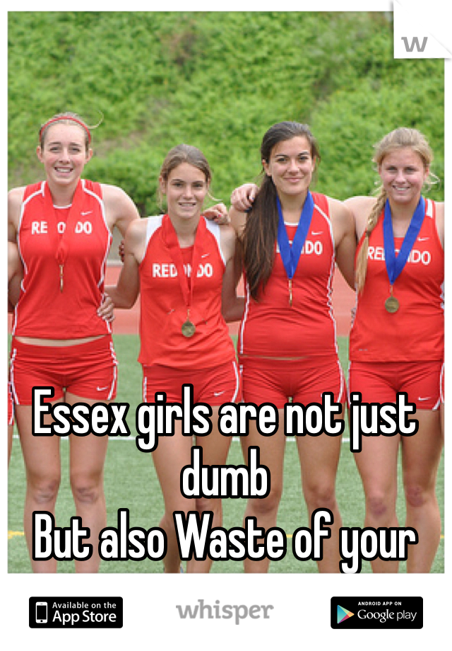 Essex girls are not just dumb 
But also Waste of your time 