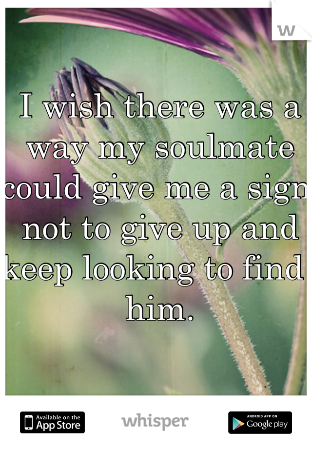 I wish there was a way my soulmate could give me a sign not to give up and keep looking to find  him. 
