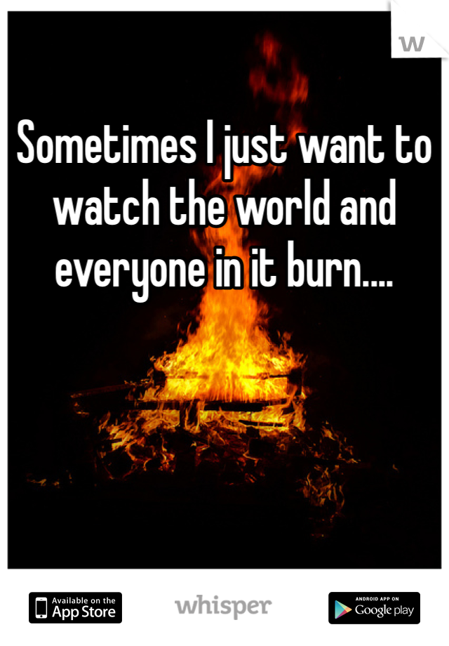 Sometimes I just want to watch the world and everyone in it burn....