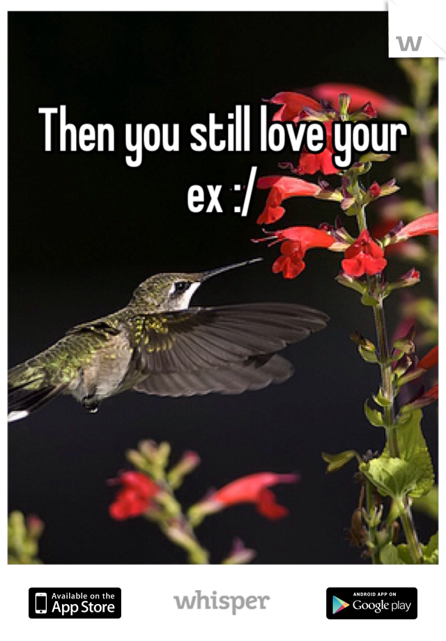 Then you still love your ex :/ 