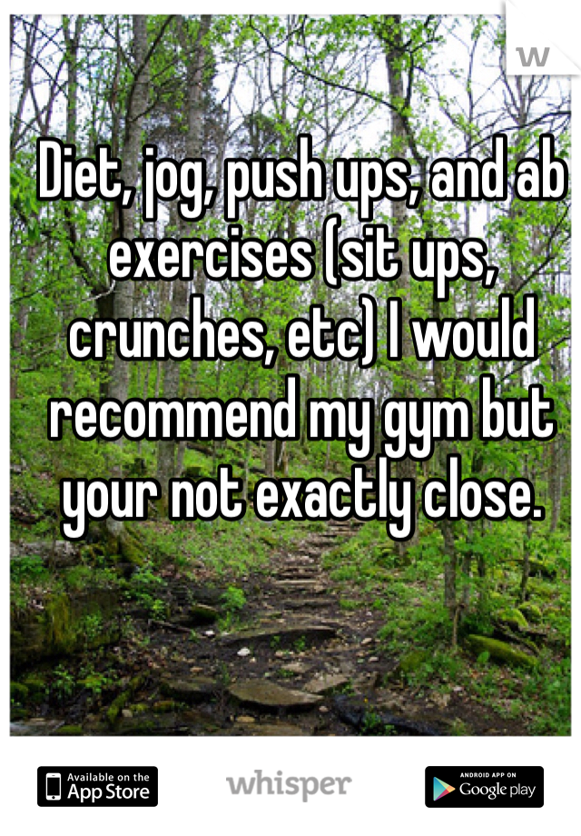 Diet, jog, push ups, and ab exercises (sit ups, crunches, etc) I would recommend my gym but your not exactly close.