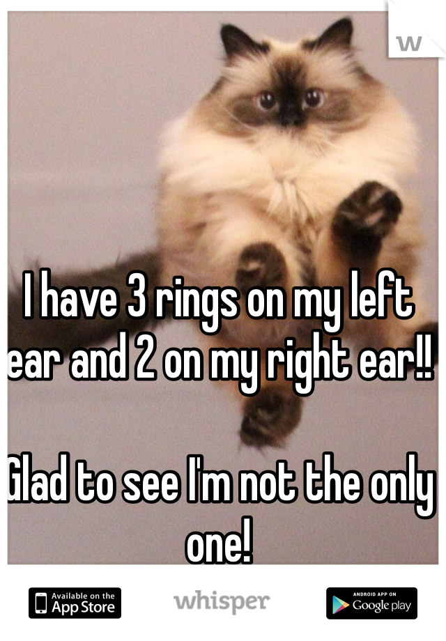 I have 3 rings on my left ear and 2 on my right ear!!

Glad to see I'm not the only one!