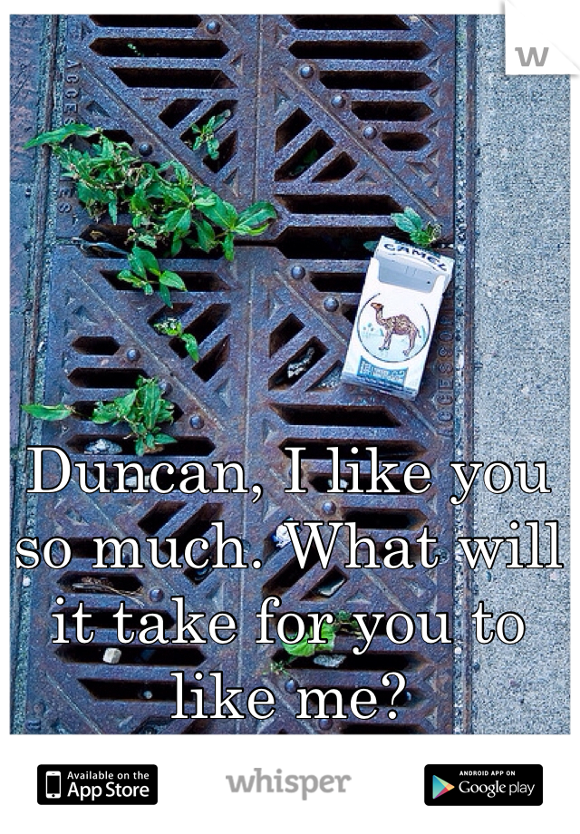 Duncan, I like you so much. What will it take for you to like me? 