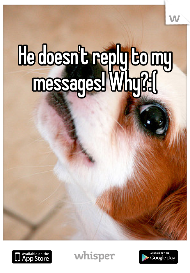 He doesn't reply to my messages! Why?:(