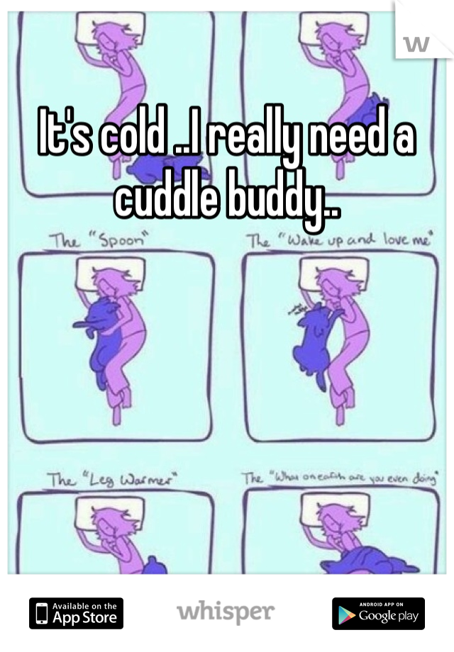It's cold ..I really need a cuddle buddy..