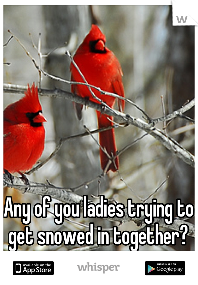 Any of you ladies trying to get snowed in together?