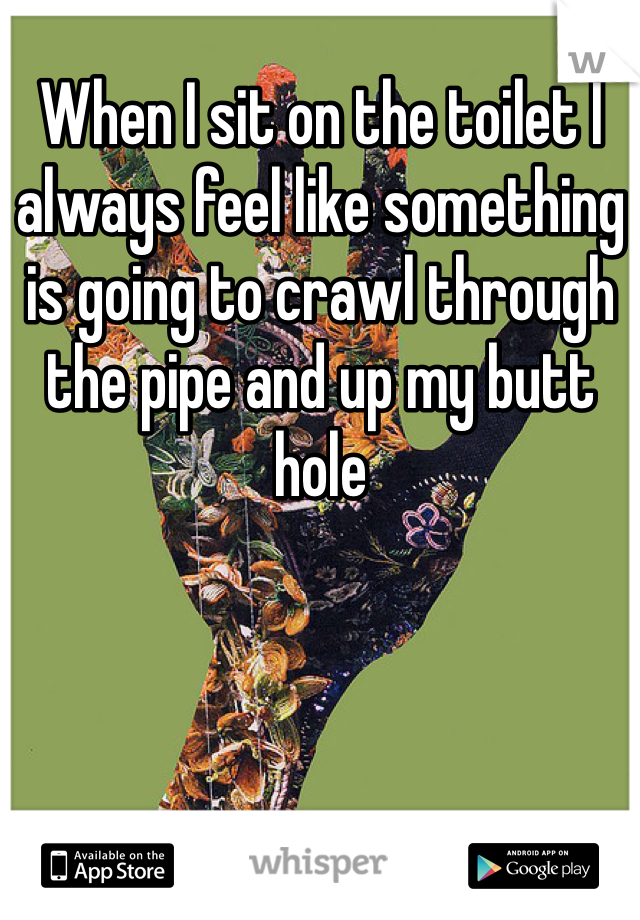 When I sit on the toilet I always feel like something is going to crawl through the pipe and up my butt hole