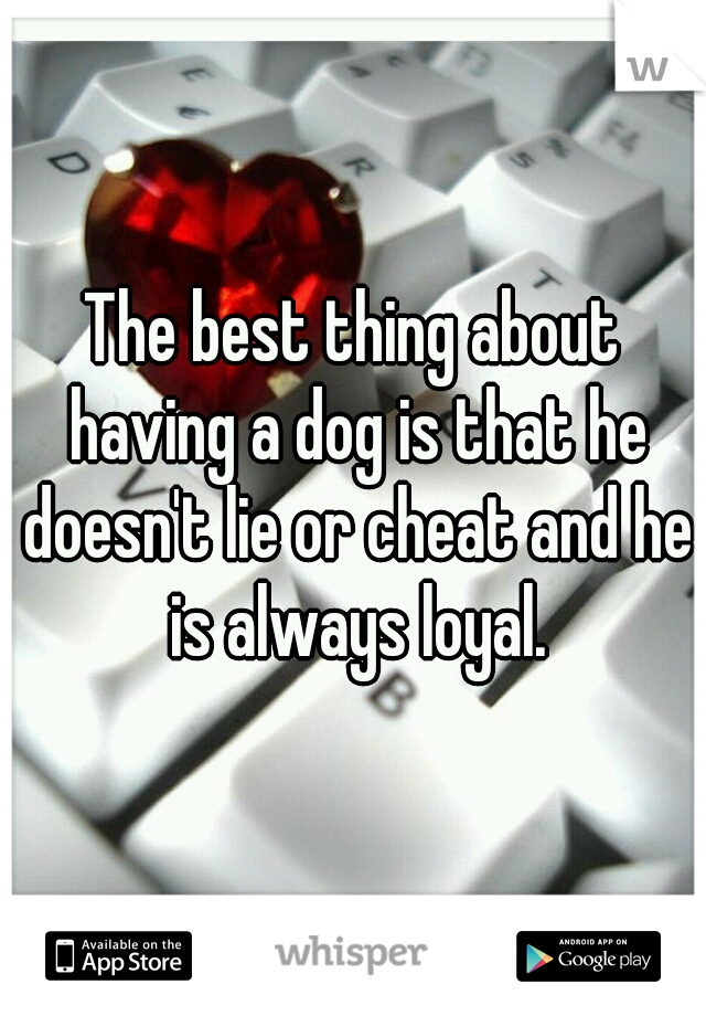 The best thing about having a dog is that he doesn't lie or cheat and he is always loyal.