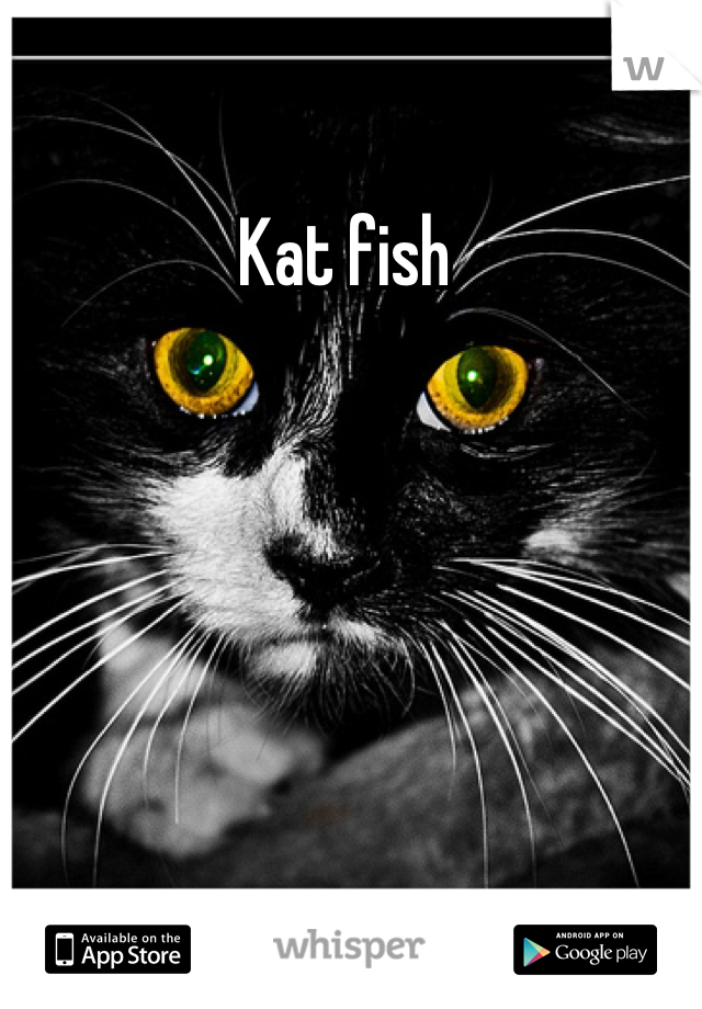 Kat fish 