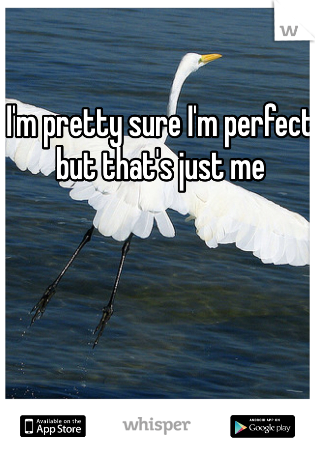 I'm pretty sure I'm perfect but that's just me 