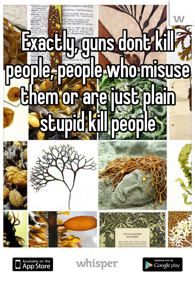 Exactly, guns dont kill people, people who misuse them or are just plain stupid kill people