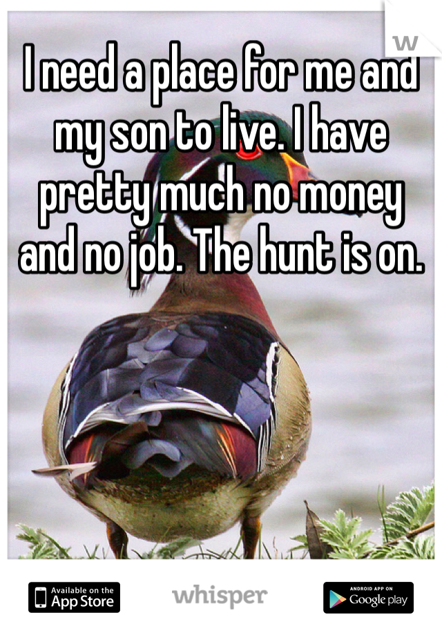 I need a place for me and my son to live. I have pretty much no money and no job. The hunt is on. 