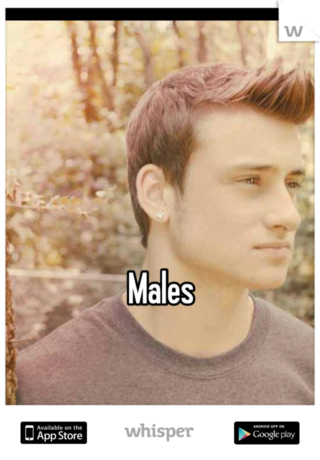 Males
