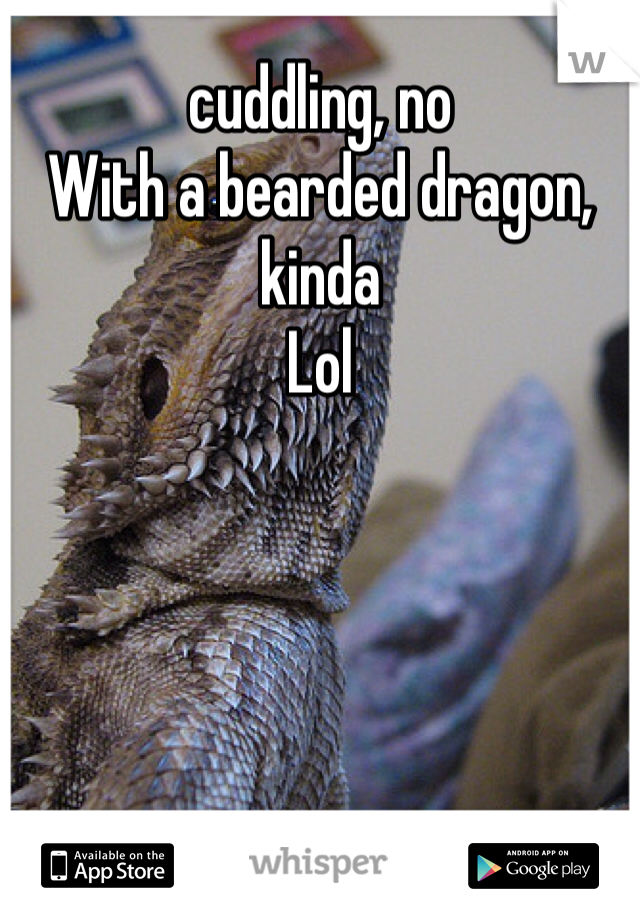 cuddling, no
With a bearded dragon, kinda
Lol
